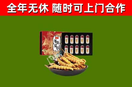 阿克苏烟酒回收冬虫夏草礼盒.jpg